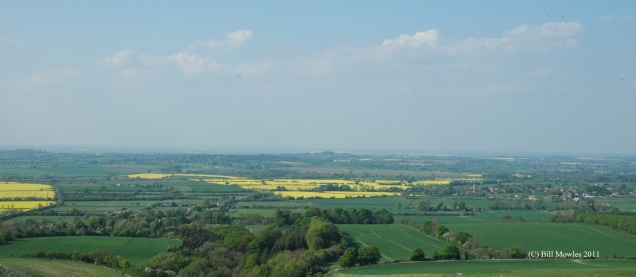 Yellow fields and hillside