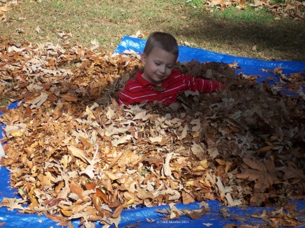 Child in a pile of leaves!