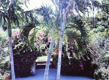 garden-walkway-parrot-jungle