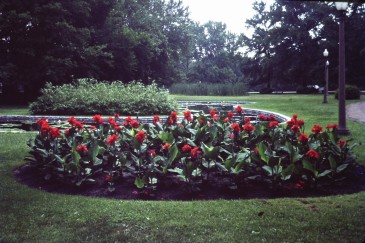 used-flower-garden