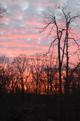 Sunset over Annandale VA 2