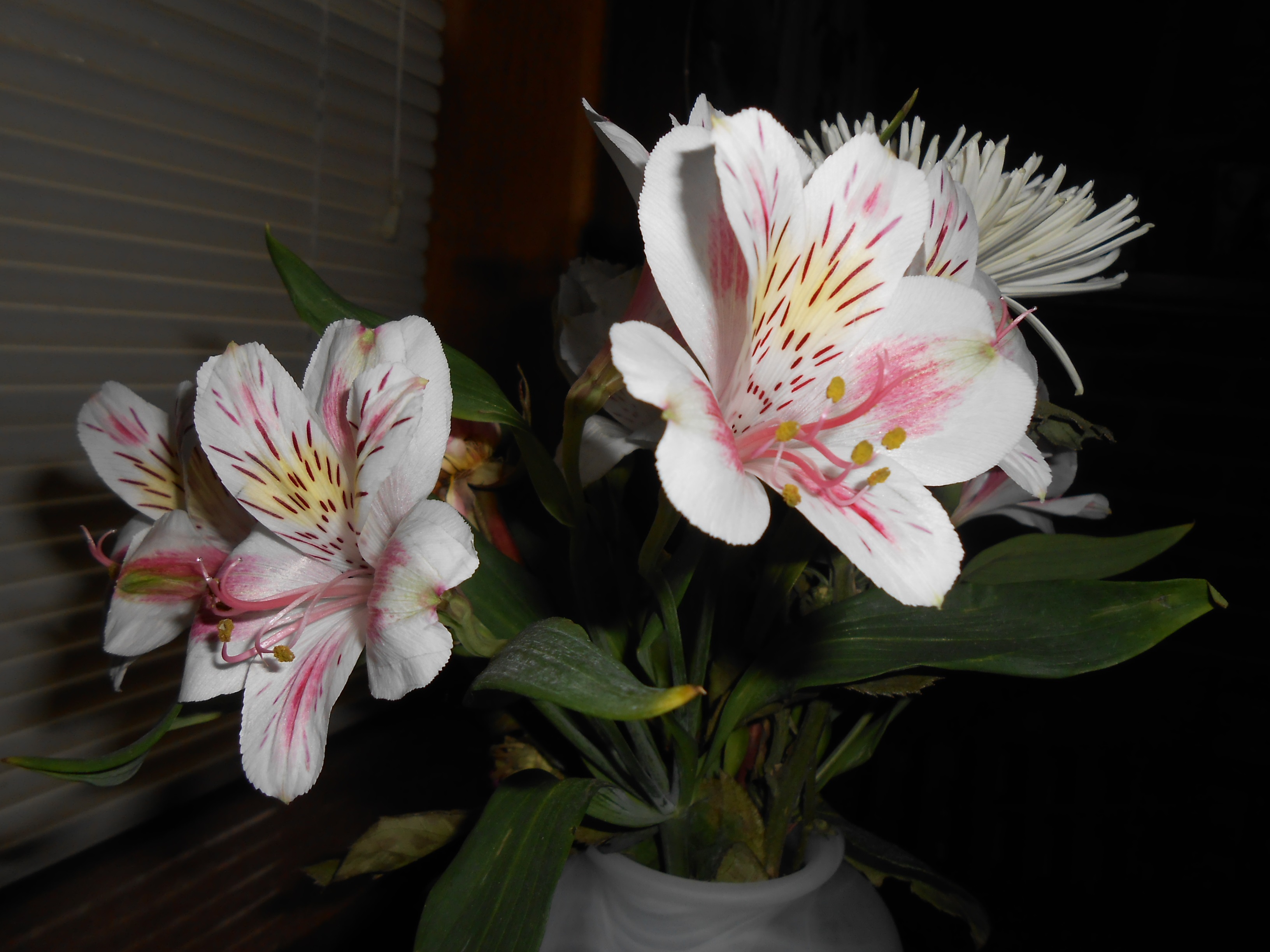 flowers - lilies