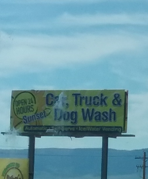 Car truck dog wash sign
